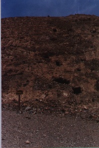 117x92.gif