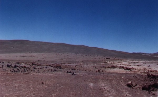 117x92.gif